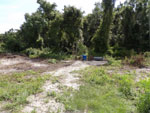 Central Florida Real Estate