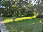 Central Florida Real Estate