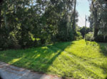 Central Florida Real Estate