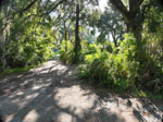 Central Florida Real Estate