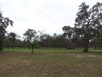 Central Florida Real Estate