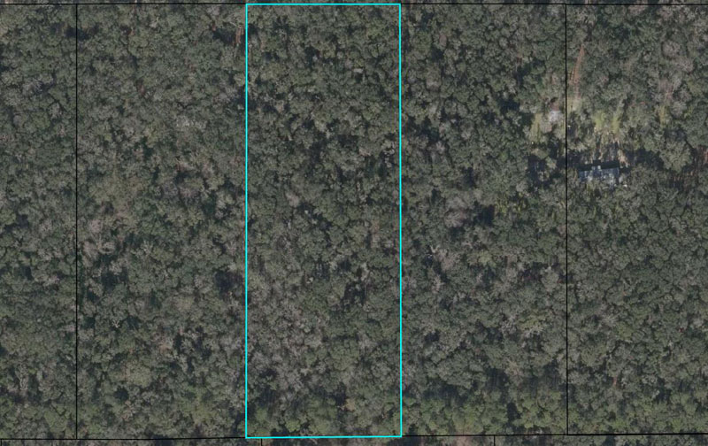 Central Florida Real Estate