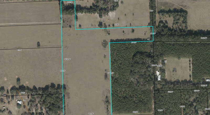 Central Florida Real Estate