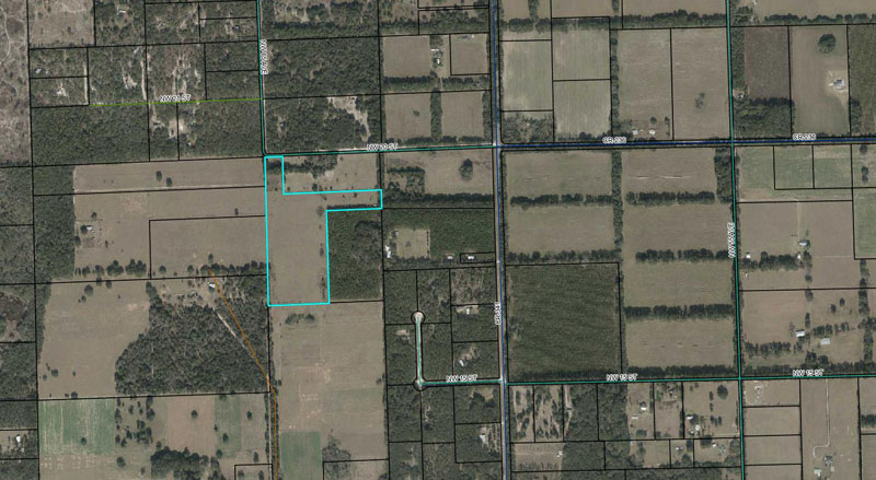 Central Florida Real Estate